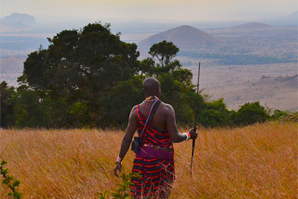 Person in native garb walking in Kenyan grassland and holding spear.