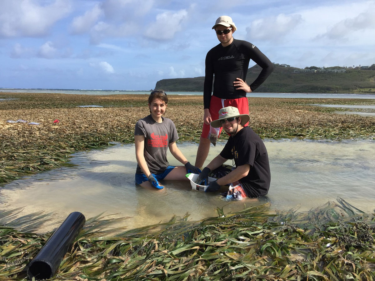 3 students doing seaside fieldwork