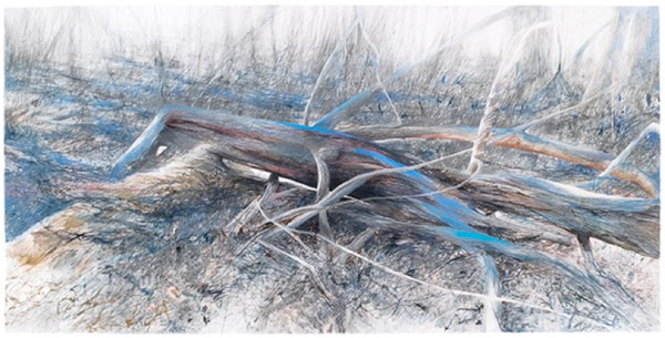 Thin grey, blue, and red lines converge in long, thin, branchlike shapes.