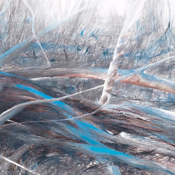 Thin grey, blue, and red lines converge in long, thin, branchlike shapes.