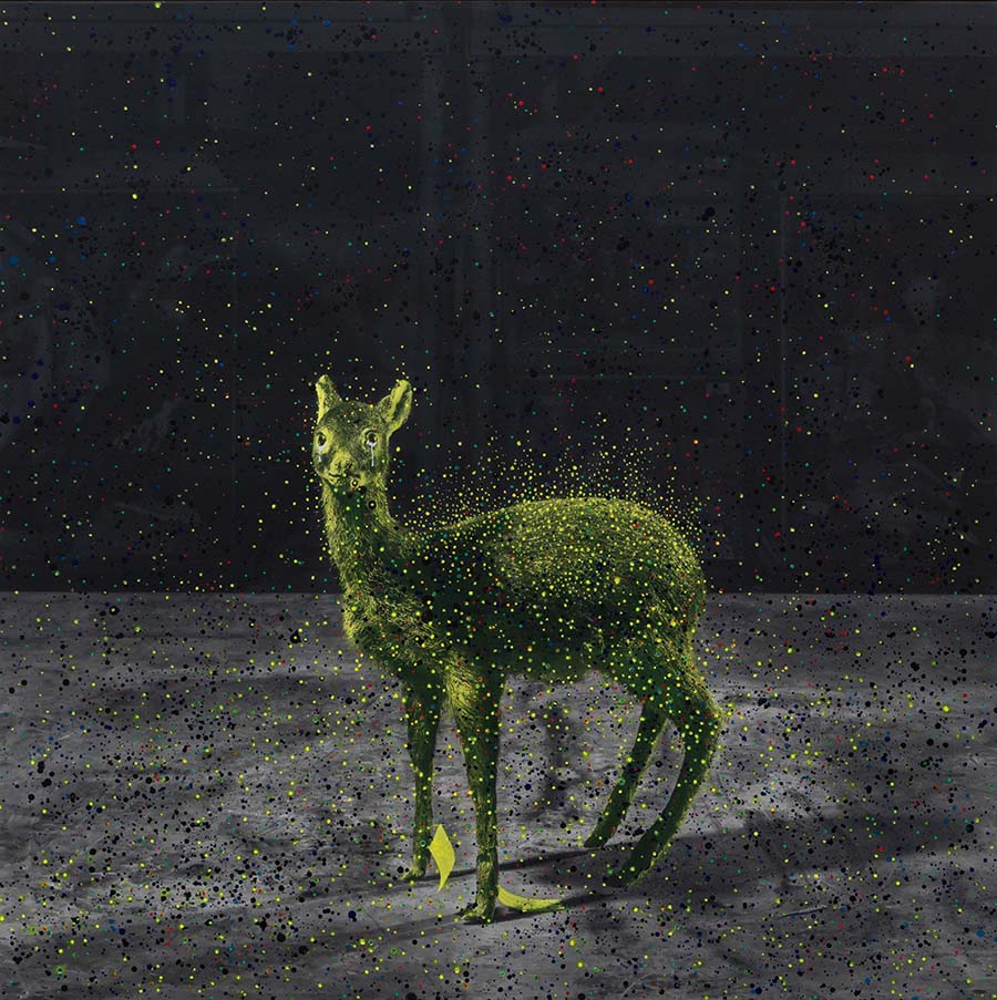 Ahn Chang-Hong, Sorrow 2025’10, 2025. A yellow deer against a black background surrounded by yellow dots.