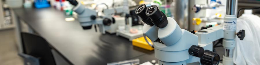 A microscope in a lab within AU's new Hall of Science
