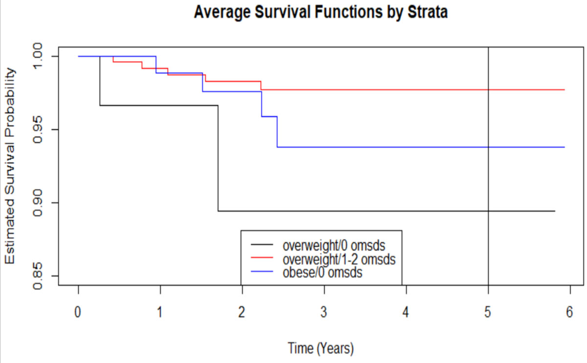 Average Survival Functions by Strata