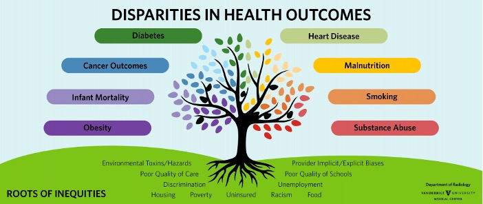 Disparities in health outcome. Credit:  Vanderbilt University Medical Center
