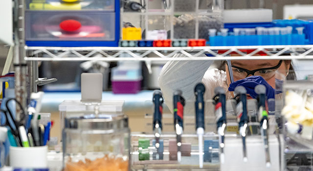 An AU premed student works intently in a lab wearing protective gear.