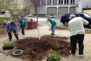 Volunteers on campus during Campus Beautification Day