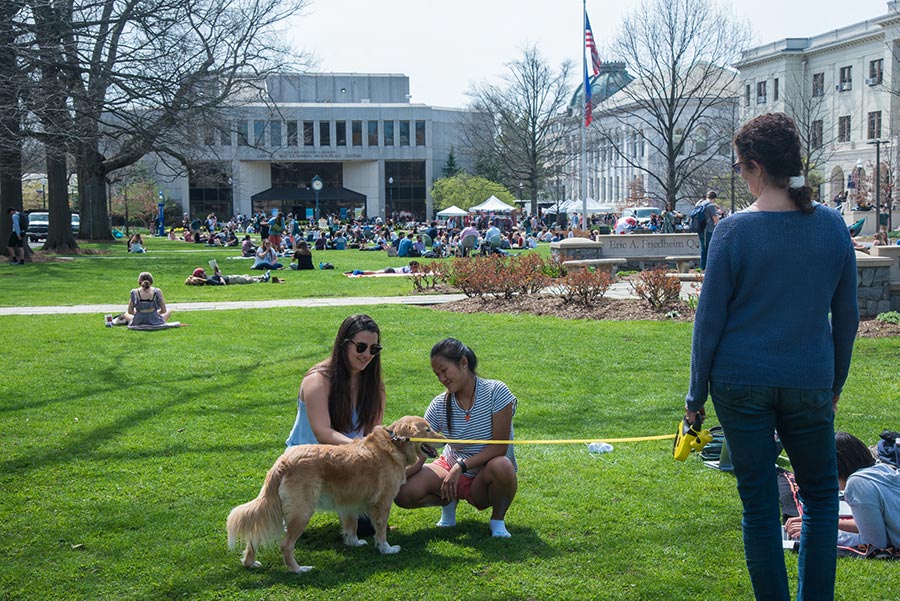 Students pet a leashed dog on campus, with the Bender library in the background