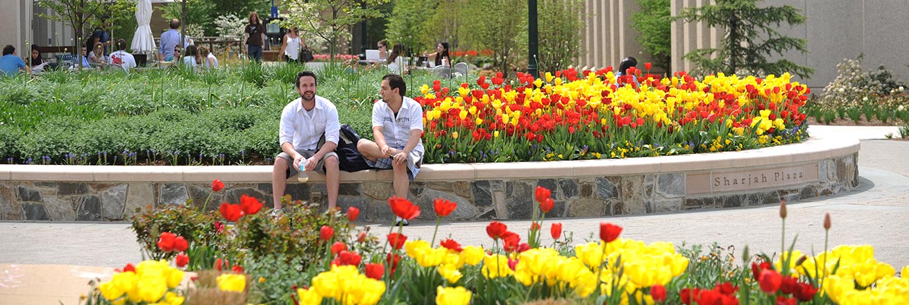 Students sitting on campus, out in the sun, with tulips in bloom