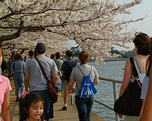 Discover AU: Capital Advantage: Excursions