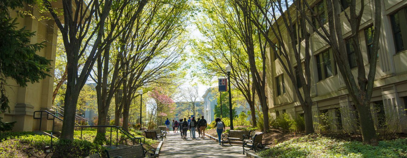 Students walking across campus under trees