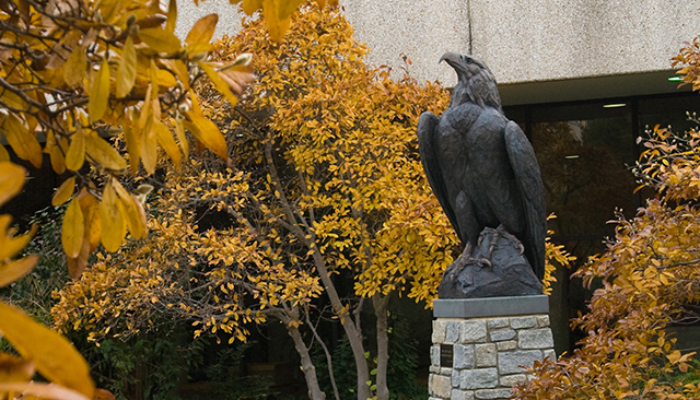 Eagle statue in the fall.