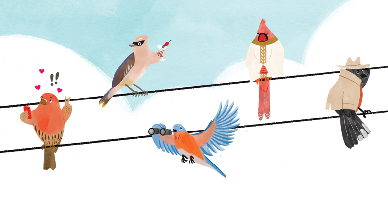 illustrated birds on a telephone wire