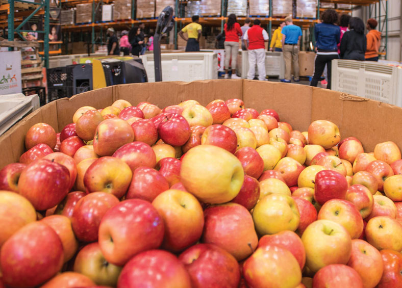 boxes of apples at the Capital Area Food Bank
