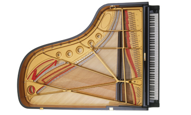 diagram of the inside of a piano