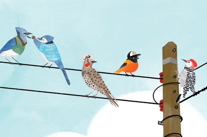 illustrated birds on a telephone wire tration