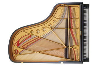 diagram of the inside of a piano