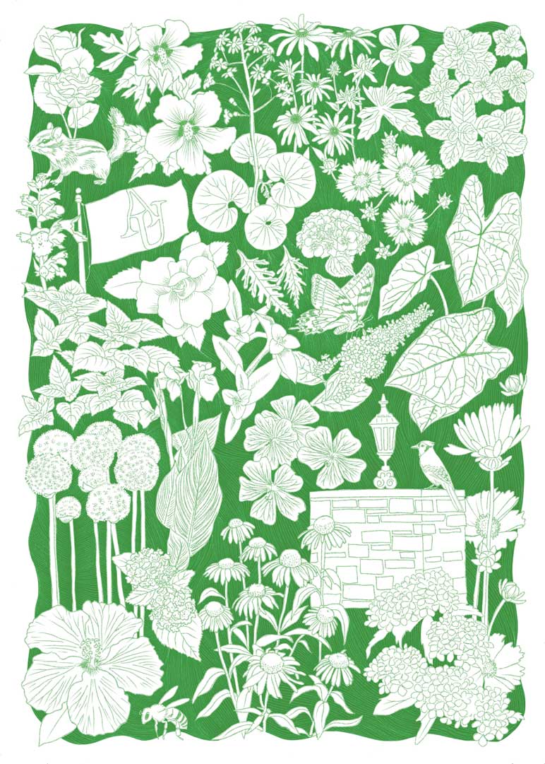 illustration of AU Arboretum in the summer