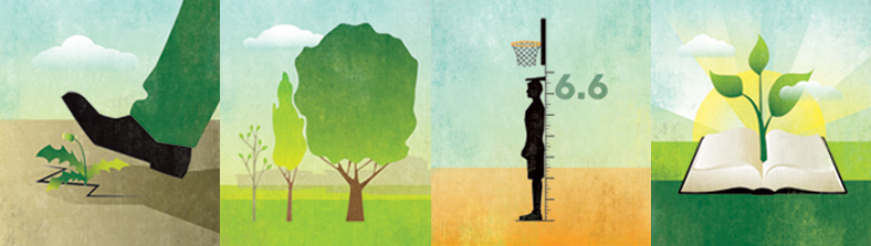 illustrations of trees, a bible, a basketball player, and a foot stepping on weeds in a crack