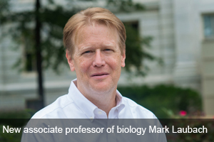 American Univeristy associate professor of biology Mark Laubach.