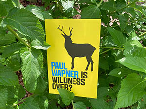 Paul Wapner's book Is Wildness Over? with green shrub in background