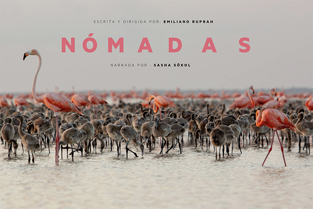 Nomads Poster