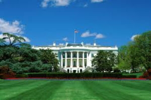 DC White House Greenery