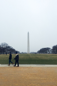 The Washington Monument on the National Mall in Washington, DC