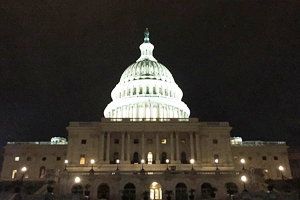 United States Capitol dome at night
