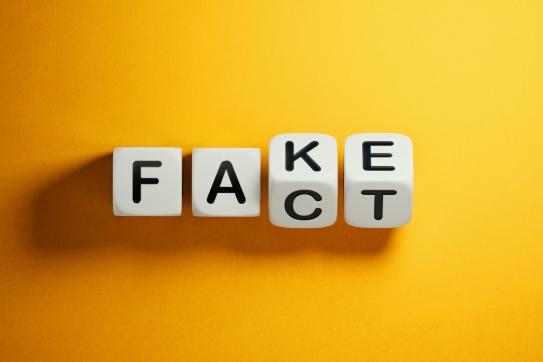 Blocks spelling out 'Fake' or 'Fact'