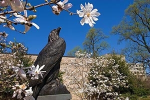 The bronze eagle statue outside of AU's Bender Arena on a sunny spring day.