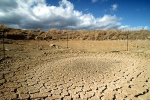 Drought Affected Landscape