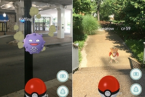 A screen shot of Pokemon Koffing and Spearow