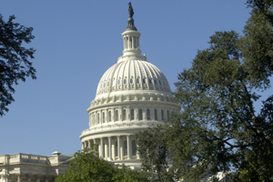 U.S. Capitol Building