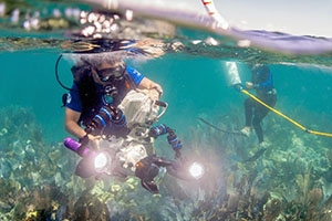 Man in diving gear filming underwater with another diver placing buoys.