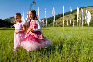 Fairies