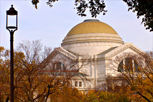 Smithsonian Natural History Museum