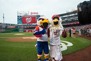the American University mascot and National mascot on a baseball field