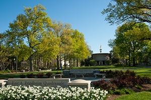 Trees and flowers on the AU quad in spring