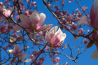 Counseling Center - Six Things to Know