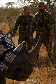 Animal Planet's Rhino Wars