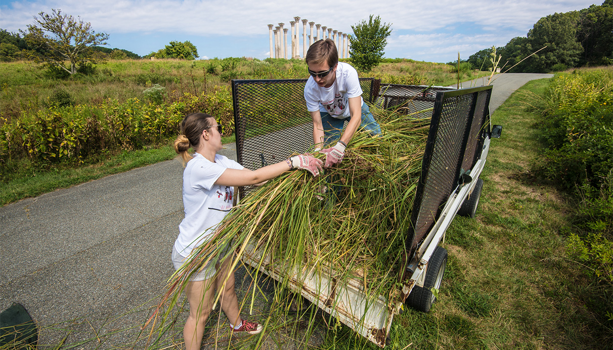 Students participate in a community service project
