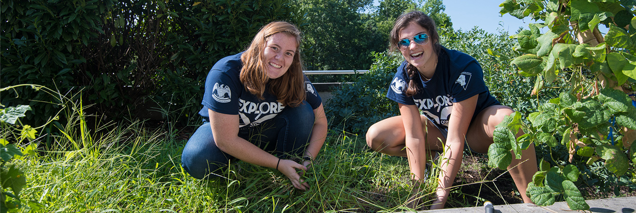 Two students pull weeds in a community garden as part of Explore DC.
