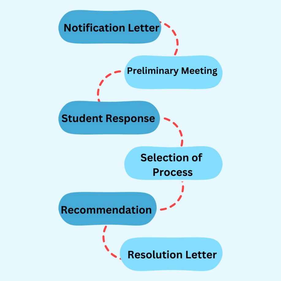 academic integrity review process