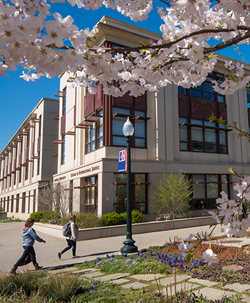 SIS Building in Spring with Cherry Blossom Tree in Full Bloom