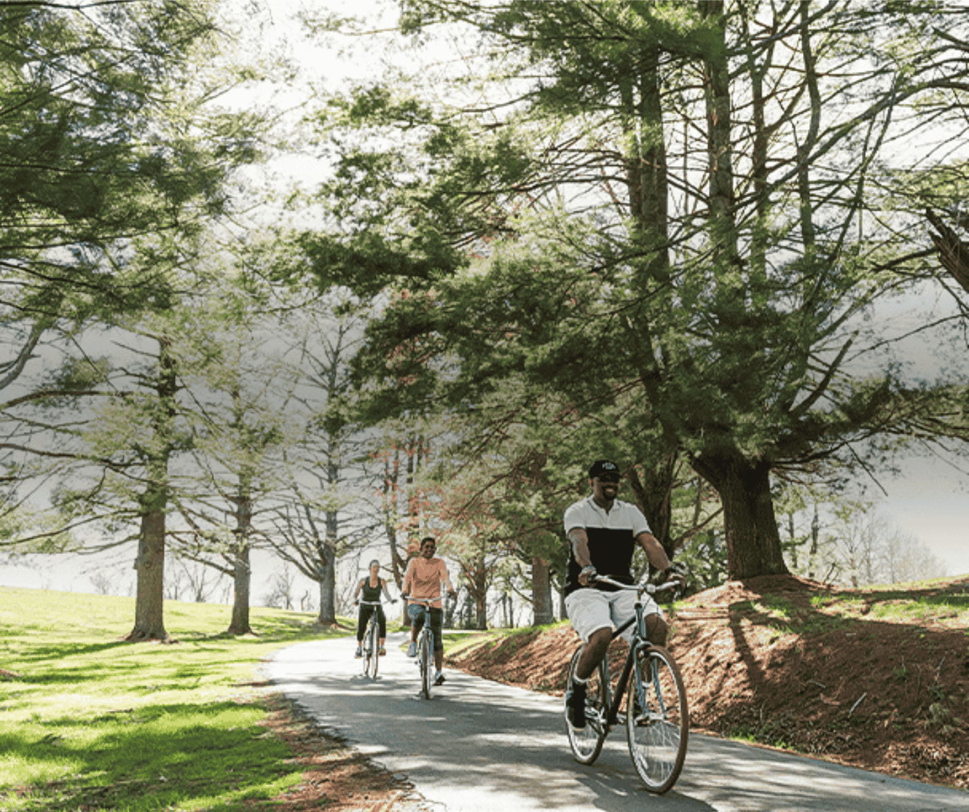 Untitled (Twitter Post) (1) Guests cycling on a path at Airlie