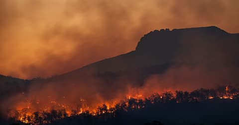 Wildfire blazing on hillside in obscure light.