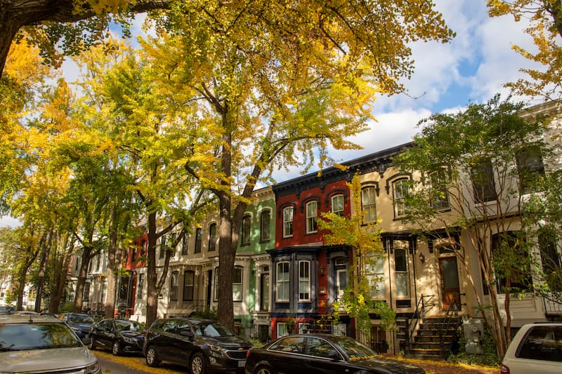 Tree-lined street of DC rowhouses