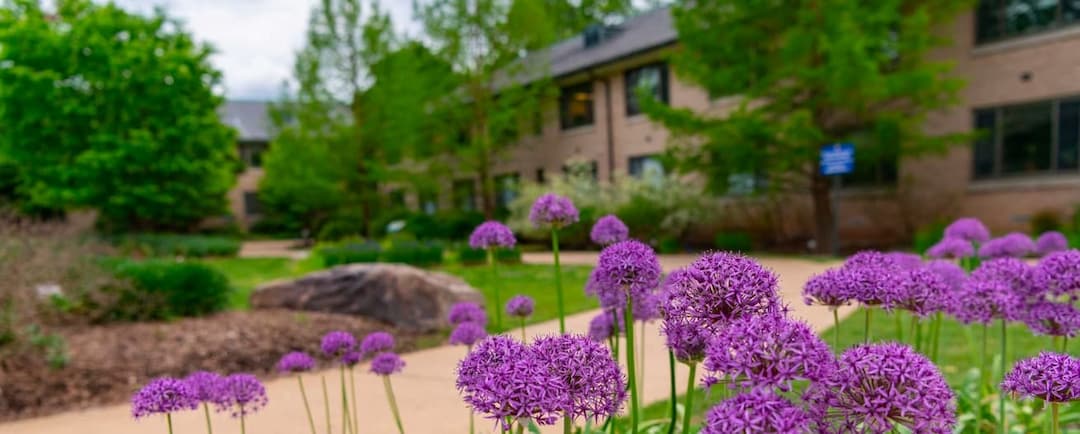 Flowers along pathway to McCabe Hall at AU.