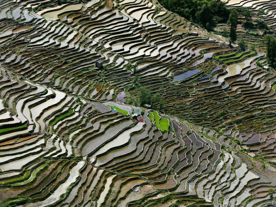 Edward Burtynsky, Rice Terraces #3a, Western Yunnan Province, China, 2012