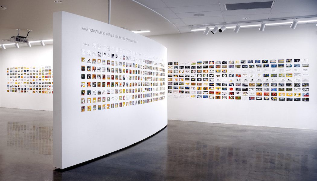 Raya Bodnarchuk installation image